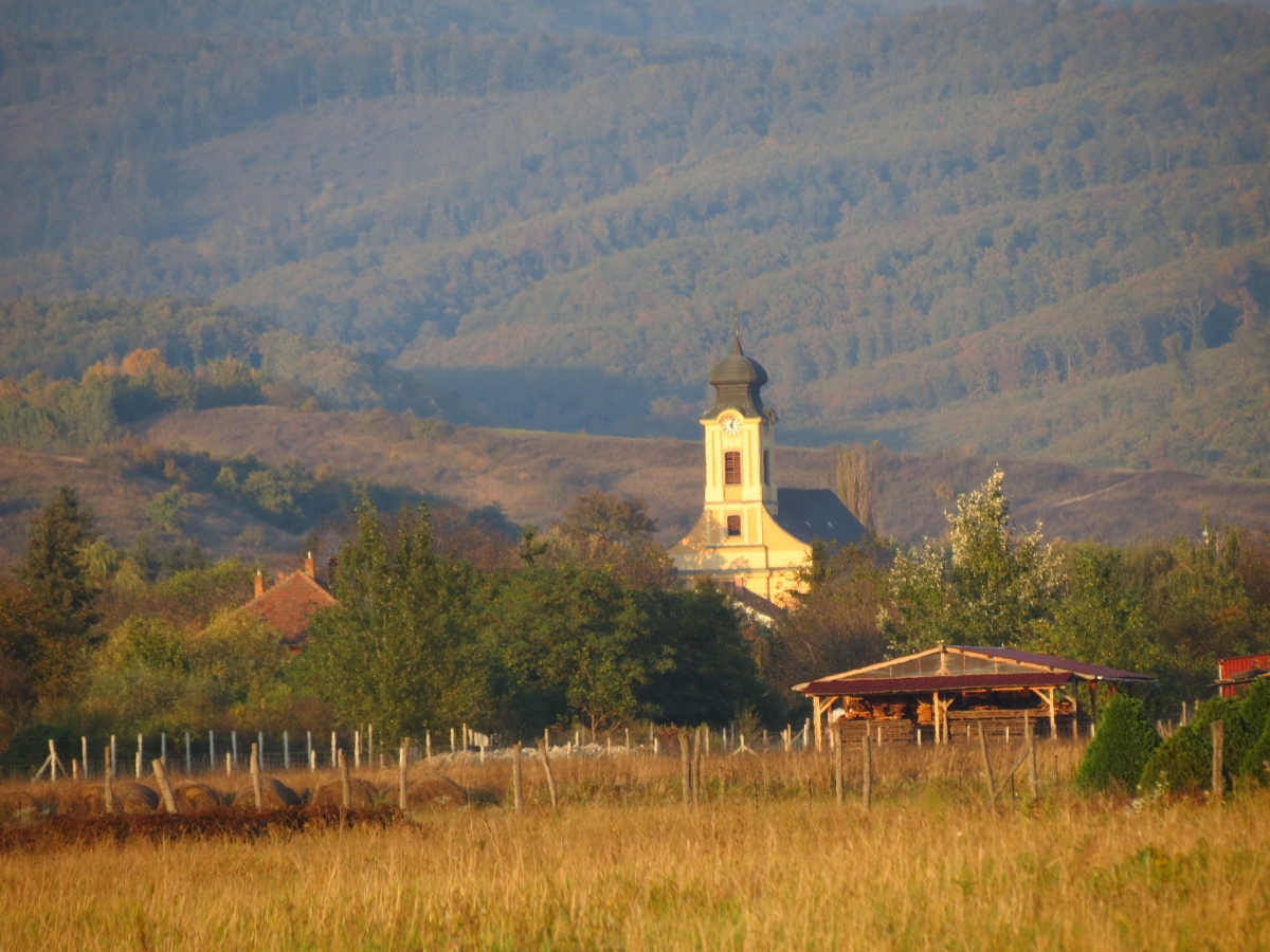 Tárkánybor Kft