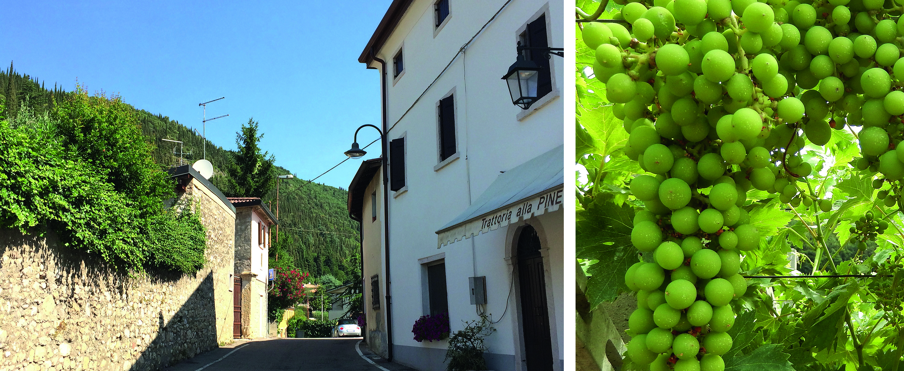 Vinfo_67_Valpolicella_utvaldartikel